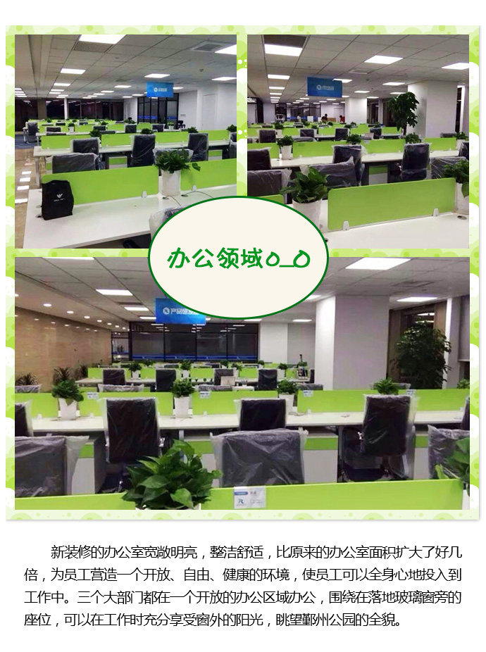 6t体育app官网