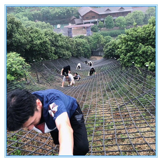 6t体育app官网